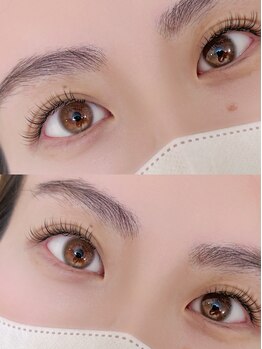 レシェリマ(Lesherima)/マッフルラップ60束