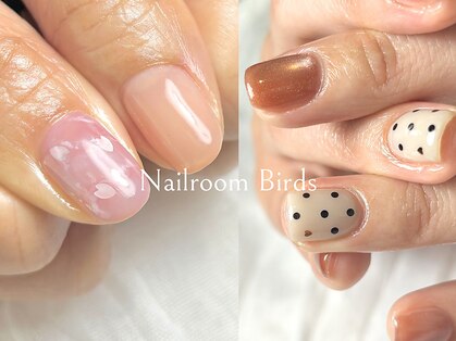 バーズ(Birds)の写真