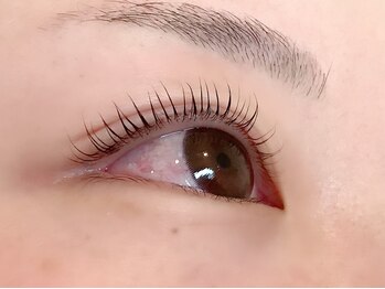 アイラッシュサロン ロロマ(loloma)/ラッシュリフト