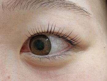 アナンダサロン(ananda salon)/パリジェンヌラッシュリフト