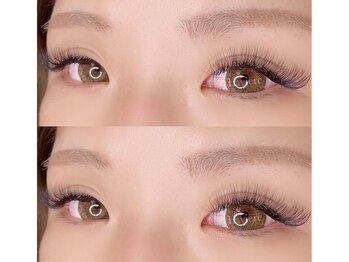 ラヴィエール(Laviere)/