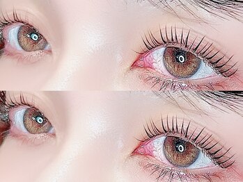 ディーエル ビューティー 表参道店(DL BEAUTY)/上下ラッシュリフト