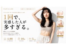 パピヨン(Papillon)