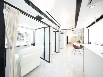 シュシュ(ChouChou)の写真