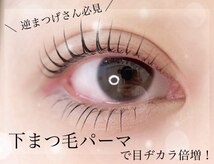 セレブヒルズ 横浜関内店(Celeb Hill's)