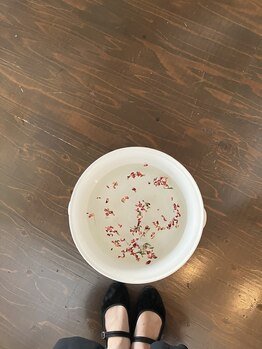 ゆりの花/季節に合わせた足浴を