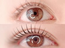 ポー(Po)/次世代まつ毛パーマ