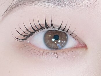 バタフライ 茅ヶ崎店(Butterfly)/オーダーメイドラッシュリフト