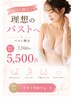 姿勢から整える♪バスト矯正+ストレッチ+下着アドバイス(初回5500円)