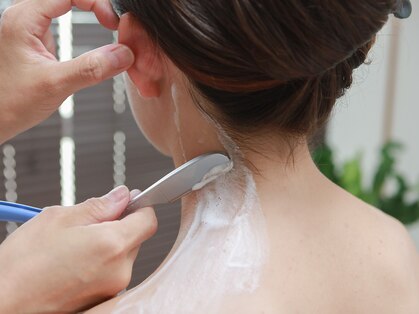 シュシュ(Shu-Shu)の写真