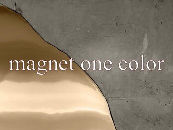 マルネイル 新宿店(MARU NAIL)/マグネットワンカラー ¥6,980