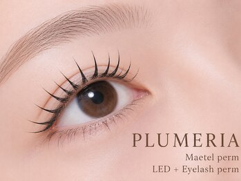 プルメリア 小倉店(PLUMERIA)の写真/カールが選べるまつげパーマ3500円★マツエクは3200円~オフ込/LED・バインドロックも有/無料束感仕上げOK