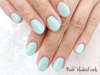 ノアブルーバードネイルズ(Noah' bluebird .nails)/ティファニーブルーネイル