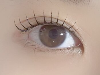 ミィア(Mia)の写真/【2回まで同価格！韓国風束感まつげパーマ4500円/束感パリジュンヌ・メーテルも】ぱっちり目元でこなれ感◎