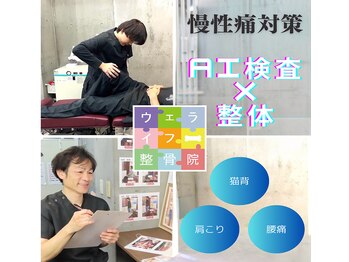 ウェライフ整骨院 大泉学園 新座