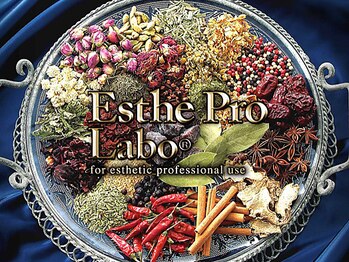 エヴァーグレース 南越谷店/エステプロラボ正規取扱い店