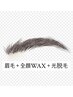 【大人気★】眉スタイリング+全顔 WAX除毛1回+光脱毛!¥12000