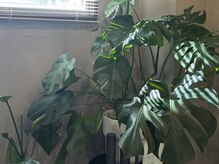 ビエント(VIENTO)/メンズアイブロウサロン名古屋