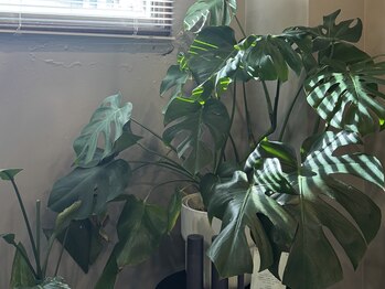 ビエント(VIENTO)/メンズアイブロウサロン名古屋