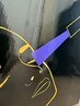 ☆最先端LEDエクステ100本¥4500