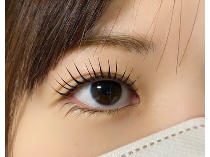 シエール(Shieru)の写真