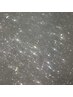 【フットネイル】うるちゅるマグネット or フラッシュラメ