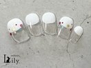 定額ショートデザイン