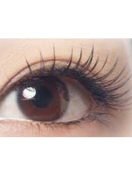 初めての方にオススメ