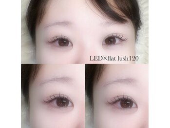アイリー(Eyelie)/LED×フラットラッシュ120本