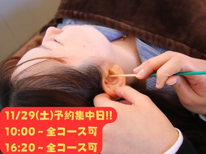 みみもふの写真