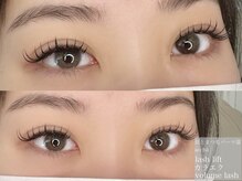 アチャ(accha)/フラットラッシュ120本