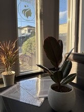 フィービー(Phoebe)/ちょっと一息。