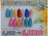 【3周年祭】ラメ・ワンカラー(色限定)¥6,500→¥6,000(ドライケア込み)