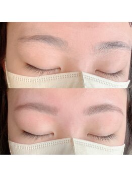 パルズ 柏(PALS)/アイブロウ