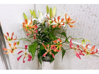 エステティック シャララ(Sha la la)/毎週お花を飾ってます♪