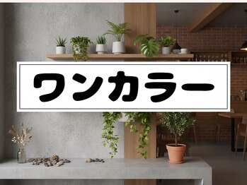 ツインネイル 久屋大通店(twin.nail)/ワンカラー　￥2980