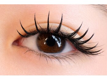 アルディ(hardi)/フラットラッシュ160本