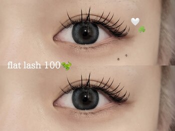 プラス ファースト(Plus 1st)/フラットラッシュ80本by kimura