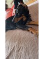 エレーブ(e'reve)&nbsp;動物大好きです♪自宅ではドーベルマンと暮らしています。