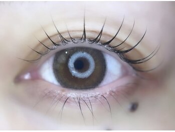 ケイラッシュ(K-LASH)/ラッシュリフトカールデザイン