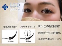 ティアラ バイ エミタス(TIARA by emi+)/LED マツエク