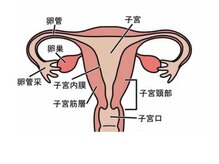 ヨサパーク アイワ(YOSA PARK Aiwa)/マタニティ/妊活/ベビ待ちにも◎