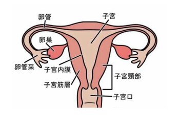 ヨサパーク アイワ(YOSA PARK Aiwa)/マタニティ/妊活/ベビ待ちにも◎