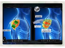 サロン ド メタセコイア(salon de Metasequoia)/世界初！次世代筋膜リリース