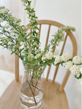 リアン ラッシュリフト(Lien LASHLIFT)/