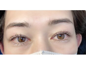 シスタス(Cistus)/ラッシュリフト