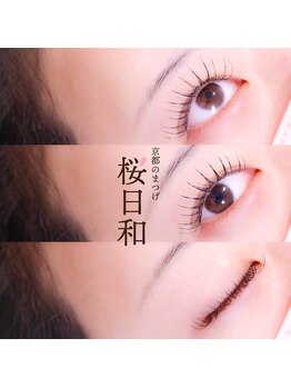 京都のまつげ 桜日和/フラットラッシュ