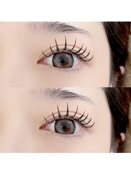 アトリエ ボノ(BONO)/ダブルフラット 80束