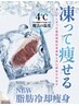 【NEW/脂肪冷却痩身】　エクストラフリーザー　体験1カップ　5,980円
