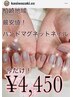 ハンドマグネットネイル　¥6,600→¥4,450